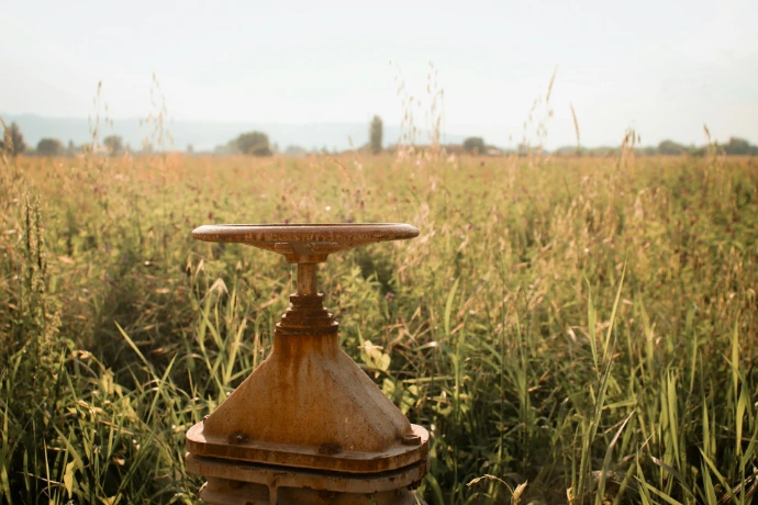 a bird bath in a field of tall grass